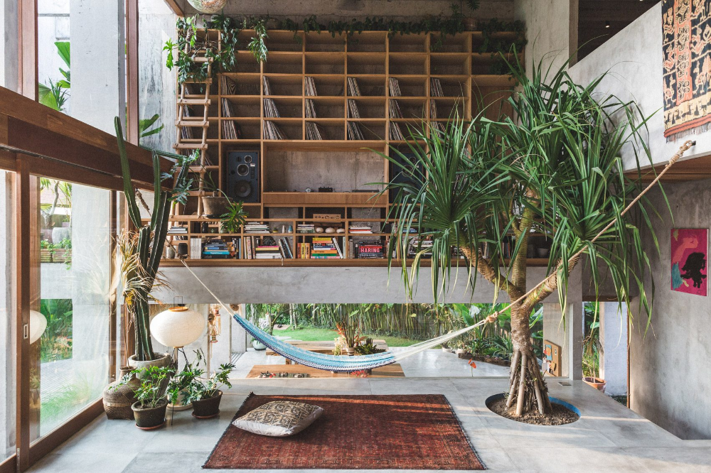 315322411428482431_Ten interiors from homes featuring verdant indoor trees