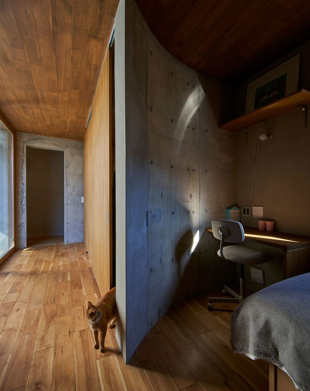 2022-02-19_04-28-41_UTC