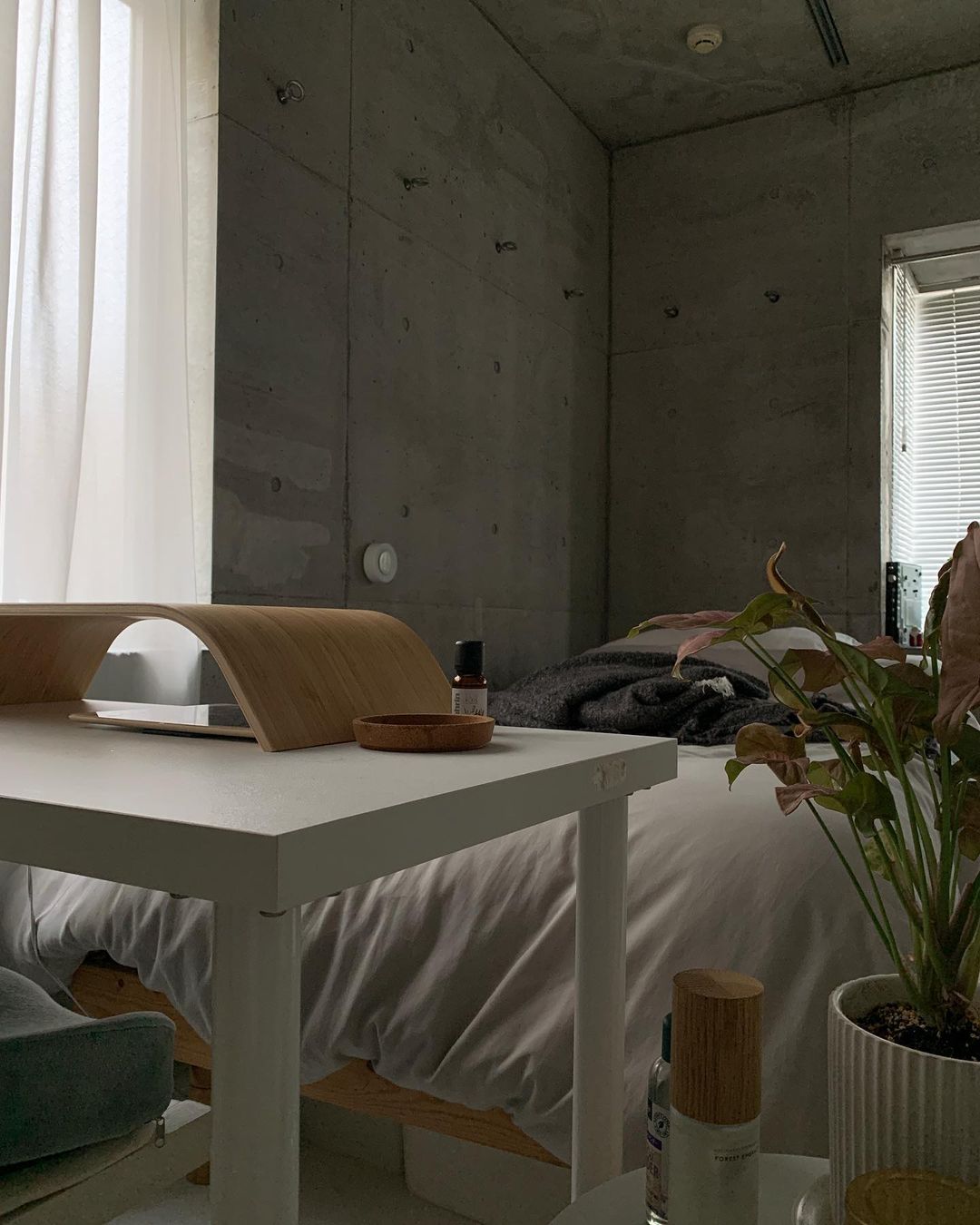 2022-11-28_11-52-12_UTC_3