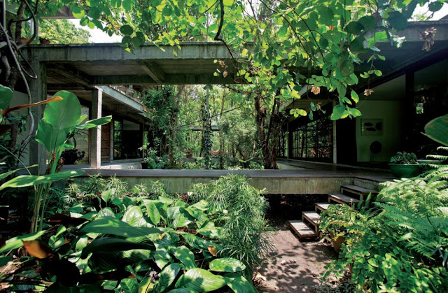 315322411428523059_Soi Wat Umong House_Soi Wat Umong House - Tropical Architecture