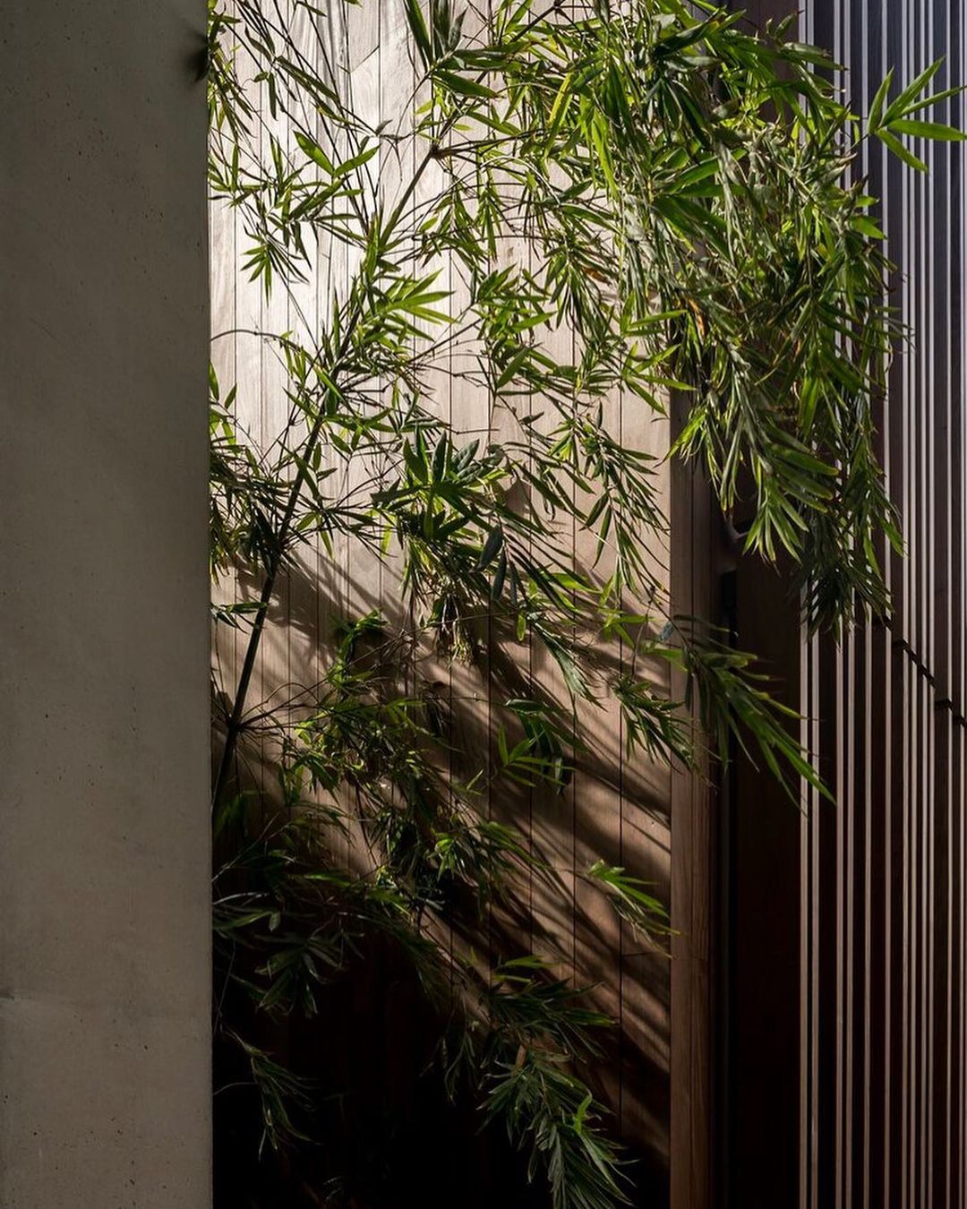 2022-12-04_15-18-06_UTC_7