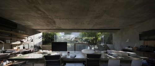 315322411426431843_969years