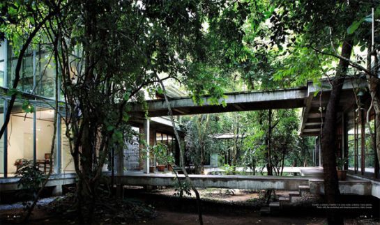 315322411428482428_save the forrest _ art & architecture _ rirkrit tiravanija _ aroon puritat _ chiang mai _ thailand