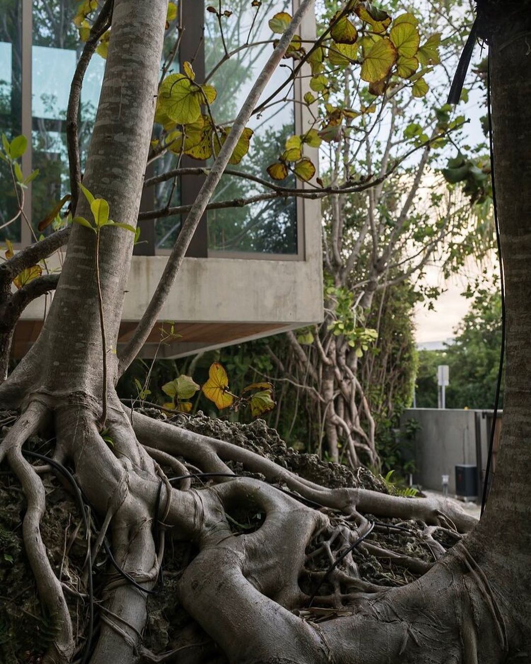 2022-12-04_15-18-06_UTC_4